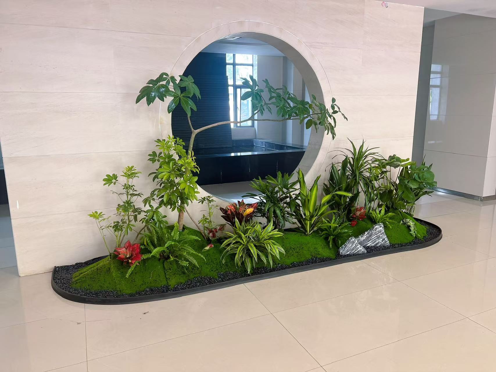 前湾植物出租价格实惠